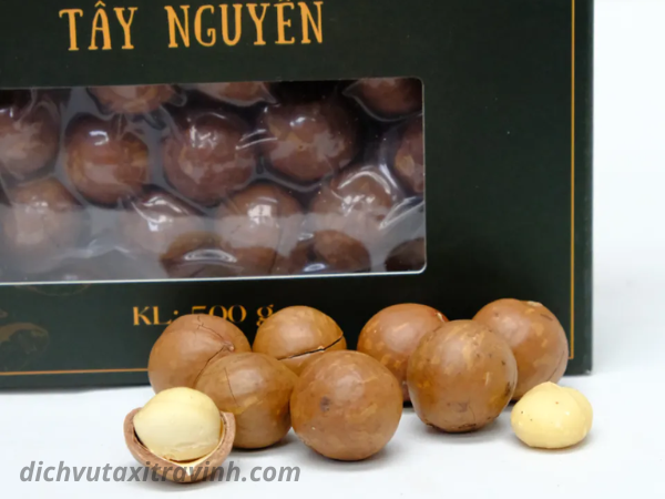 Hạt Macca Tây Nguyên - Lợi ích sức khỏe và cách chọn mua tốt nhất